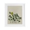 Stupell Industries Hidden Gems Clovers Framed Print Under Glass, design by Grace Popp